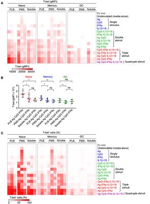 The Differentiation in vitro of Human Tonsil B Cells With the Phenotypic and Functional Characteristics of T-bet+ Atypical Memory B Cells in Malaria